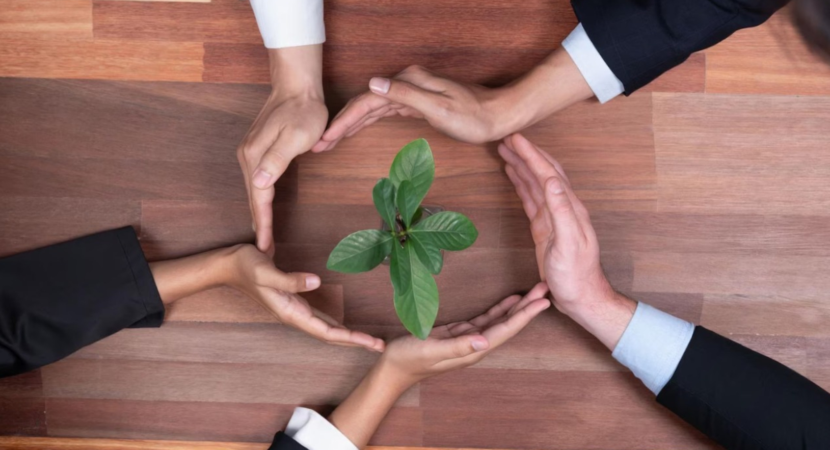 Transformacion cultural -servicio